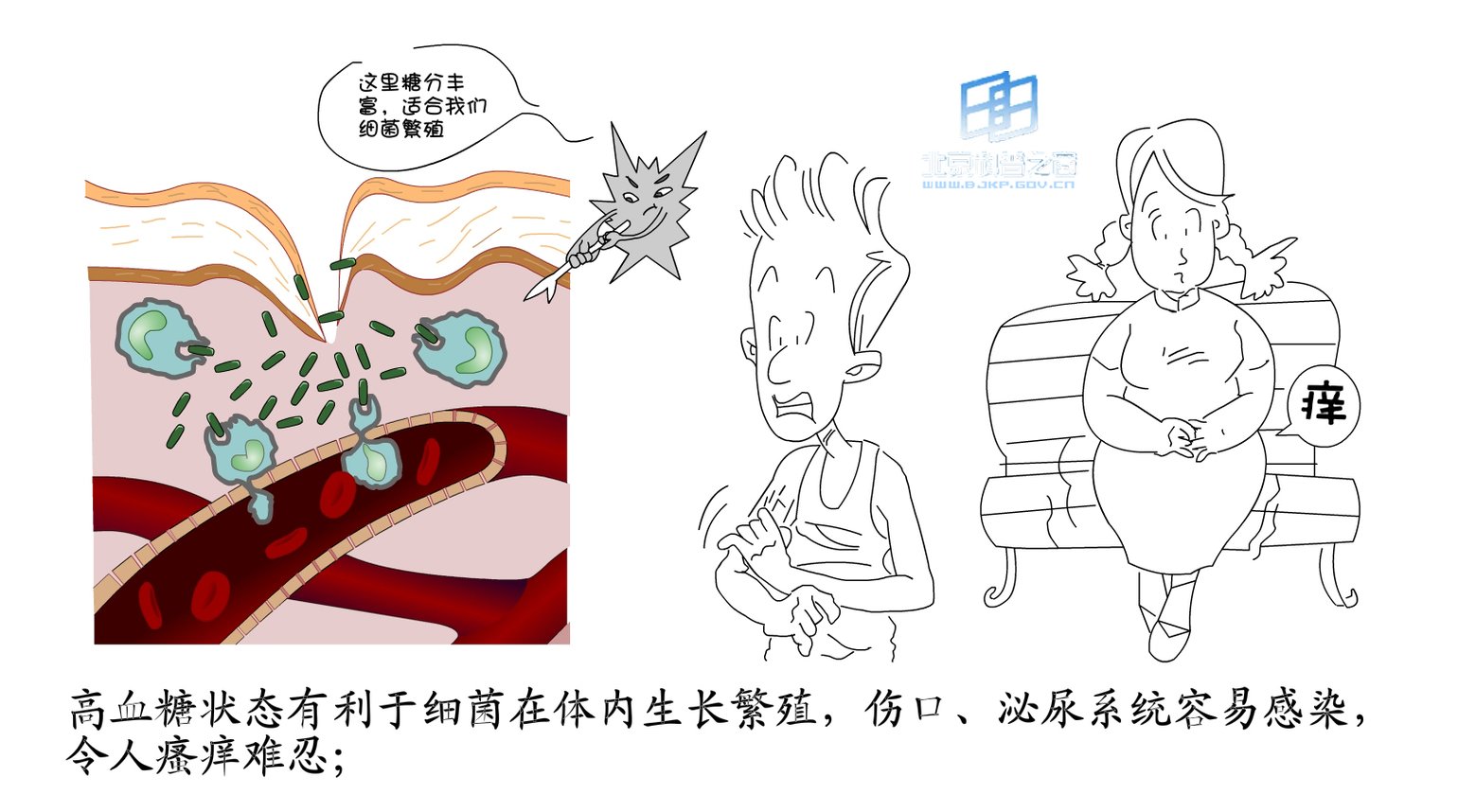 餐后血糖正常值 孕妇血糖正常值 血糖值的换算 高血糖引起微血管