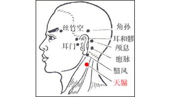 耳和髎穴所在位置