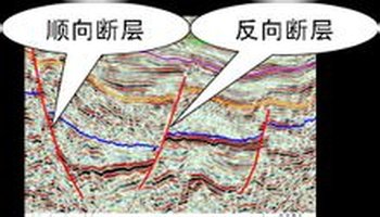 断层面倾向与断盘岩层倾向相反的断层组.