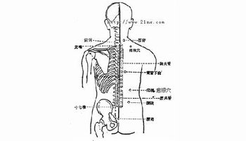 痞根穴