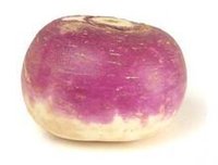 芜菁