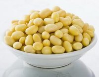 碱性食物大豆