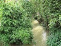 苏家屯自然村通村河流