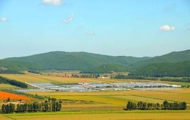 双鸭山农场
