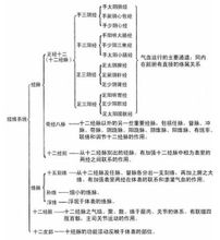 经络系统是由十二经脉,奇经八脉,十二经别,十五络脉,十二经筋,十二皮