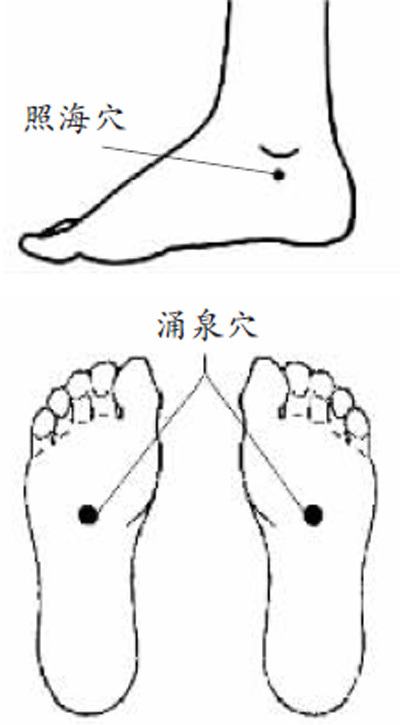 照海