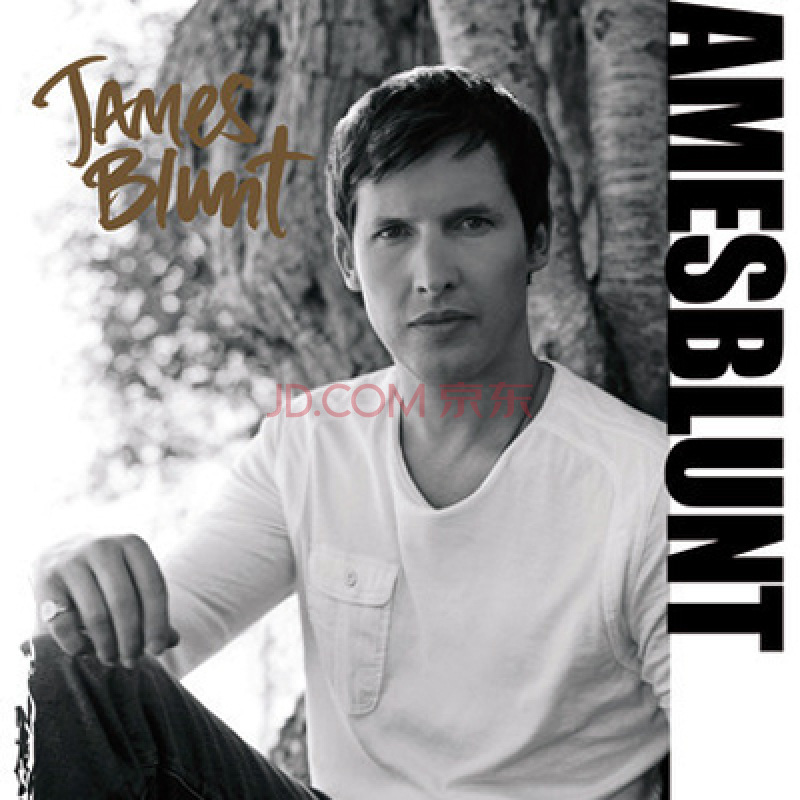James Blunt Calling Out Your Name