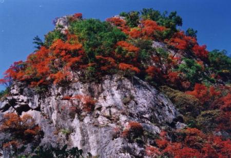 洛阳老君山风景区