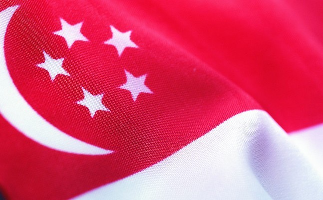 新加坡共和国国旗图片